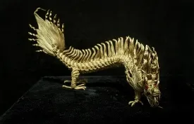 Az ábra a sárkány feng shui, hogyan kell használni értéke