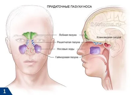 Ethmoiditis - tünetek és kezelés felnőtteknek, antibiotikumok, cseppek