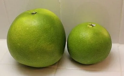 Gyümölcs kicsim - mi ez, hogyan kell enni, az előnyöket
