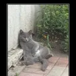 Hol találjuk szex egyszerre srác nem, és nem várható, körülbelül egy munka és tanulás