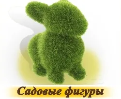 Fűfélék - vásárolni mag az online áruház „World gyep”, gyors szállítás