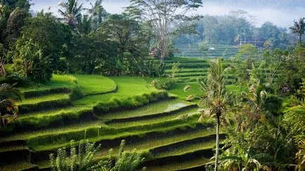 Hol van a Bali szigetén, amely ország