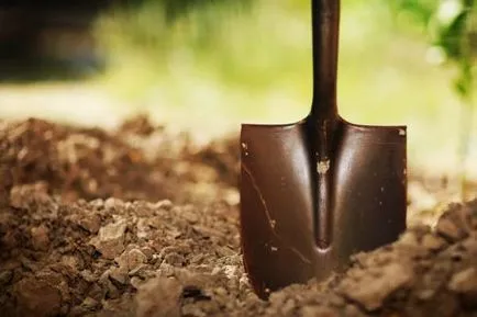 Lawn az ország saját kezűleg lépésről lépésre útmutató