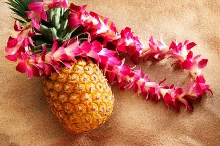 Hawaii party forgatókönyv, versenyek, zene, ruházat és alkatrészek a stílus Hawaii