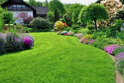 Lawn az ország saját kezűleg lépésről lépésre útmutató