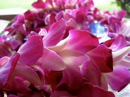 Hawaii nyaklánc kezük 1 (gyöngyöket a kezét) Hawaii nyaklánc kezüket 1