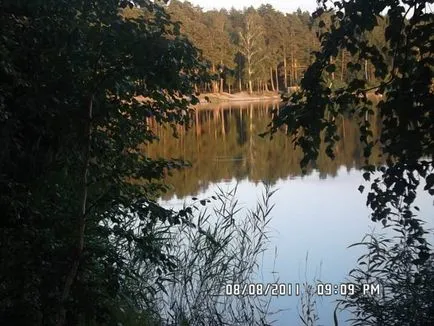 Amennyiben az volt, hogy látta