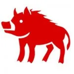Horoszkóp kutya férfi és nő ma, holnap, holnapután, egy hónap 2017-ben, 2018, 2019, 2020 és