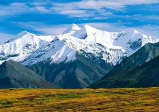 Mountain jellemzői és típusai
