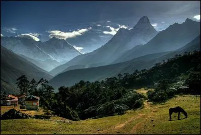 Mountain jellemzői és típusai