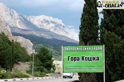 Mountain Cat Krím - hol és hogyan lehet fényképeket és videó (fotó) Mountain Cat Krím - hol és hogyan lehet eljutni fotók és videók