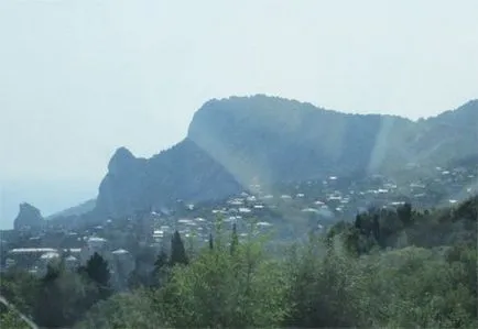hegyi macska