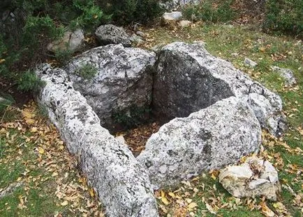 hegyi macska
