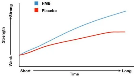 HMB (béta-hidroxi béta-metil-vajsav), vagy reklámozott dummy Állandó adalékanyag (lean body mass) HMB (béta-hidroxi béta-metil-vajsav) hirdetett vagy dummy Állandó adalék