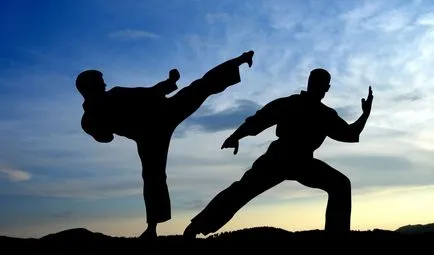 Érdekességek a karate - egy új hős