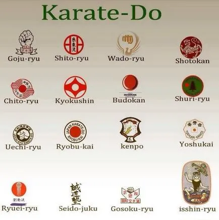 Érdekességek a karate - egy új hős