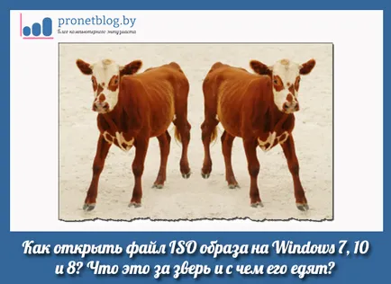 Iso keresztül, hogy a nyílt