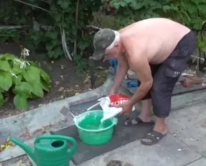 Pihe mész kvencselés készítmény és az alkalmazás (kvencselés) A pihe mész edzés készítmény és alkalmazása