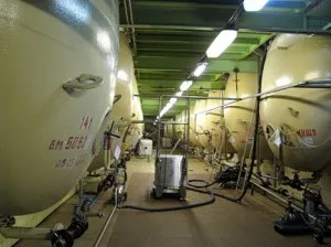 Hogyan készítsünk pezsgő Champagne
