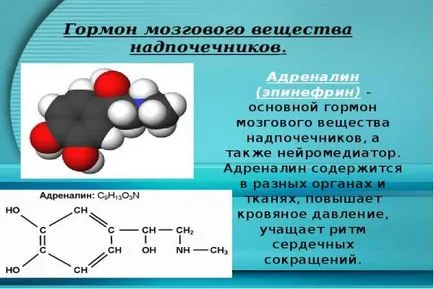 Mik a mellékvesék titkos hormonok, ahogy nevezik őket, és hogy szabályozzák (a mellékvese mirigyek az alábbi hormonok) Mik a mellékvesék titkos hormonok, ahogy nevezik őket, és hogy szabályozzák