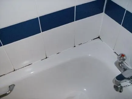 Hogyan lehet megszabadulni a penész egyszer és mindenkorra