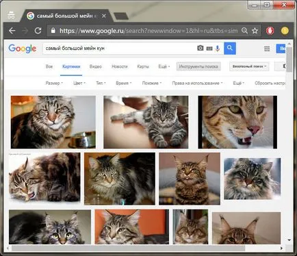 Hogyan keressünk egy képet a Google