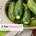 Hogyan osztrigát enni, hogyan kell enni osztriga otthon (enni) Hogyan osztrigát enni, hogyan kell enni osztriga otthon