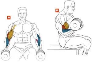 Hogyan kell felépíteni a tricepsz otthon súlyzók és push-up, képzési program, videót