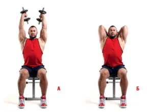 Hogyan kell felépíteni a tricepsz otthon súlyzók és push-up, képzési program, videót