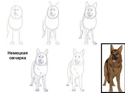 Hogyan kell felhívni a ceruzát pásztor állapotok 2 (Van egy lépésről lépésre) Hogyan kell felhívni a ceruzát pásztor állapotok 2