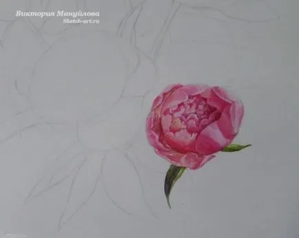 Hogyan kell felhívni a bazsarózsa készít egy csomó! (Bouquet) Hogyan kell felhívni a bazsarózsa készít egy csomó!