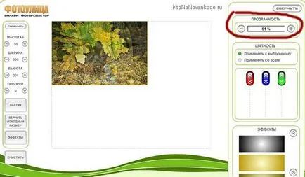 Hogyan kell alkalmazni az online fotó a fotó, valamint a betét hozzá vagy ragasztóval képek egymást