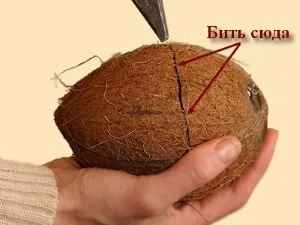 Hogyan kell megnyitni a kókusz otthon