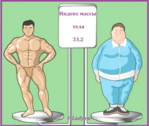 Hogyan határozzák meg a mértékét az elhízás 1
