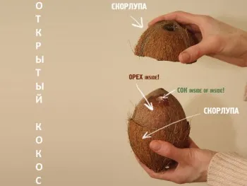 Hogyan kell megnyitni a kókusz otthon