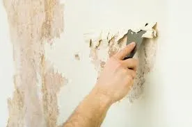 Hogyan kell festeni a falakat a lakásban Hogyan kell festeni a falakat a lakásban