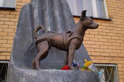 Laika a kutyát tér Laika a kutyát tér
