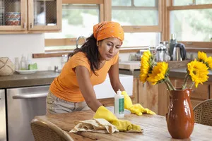 Mint bozót Zelenka; Zelenka, mint bozót bútorok - nő s nap