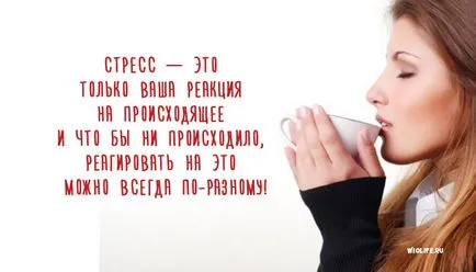 Hogyan, hogy ne legyen ideges, és új életet kezdjen! (Be csapás számla) Hogyan, hogy ne legyen ideges, és új életet kezdjen!