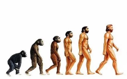Melyek a hajtóerők evolúció