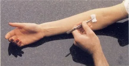 Hogyan festeni a haját otthon ideális - Beauty Club (otthon) Hogyan festeni a haját otthon ideális - Beauty csapat