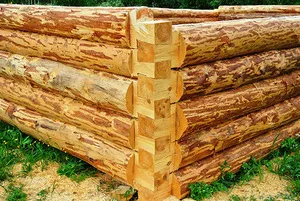 Hogyan építsünk egy faházban a láb edzés naplók, építeni szabályokat, hibák