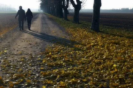 Honnan tudod, hogy egy férfi szerelmes, de elrejti az érzéseit (elrejtés) Honnan tudod, hogy egy férfi szerelmes, de elrejti az érzéseit