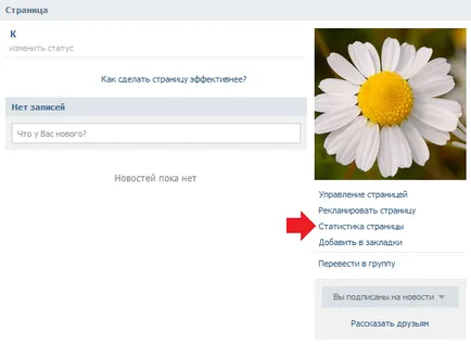 Hogyan látja a statisztika VKontakte csoport