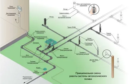 Hogyan készítsünk egy pázsit ültetése technológia, öntözés és gondozása a gyep a ház télen és nyáron (gyep öntözőrendszer) Hogyan készítsünk egy pázsit ültetése technológia, öntözés és gondozása a gyep a ház télen és nyáron