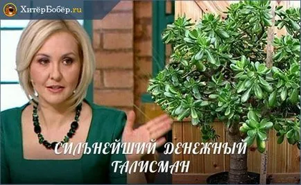 Hogyan vonzza a szerencse és a pénz - a 7 titkait vagyon (döntetlen) Hogyan vonzza a szerencse és a pénz - a 7 titok a jólét