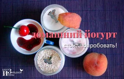 Hogyan kell elkészíteni a joghurt otthon joghurt (joghurt) Hogyan kell elkészíteni a joghurt otthon joghurt