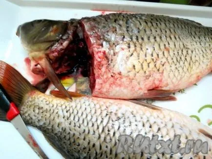 Főzni töltött ponty - recept fotókkal (ponty) Főzni töltött ponty - a recept egy fotó