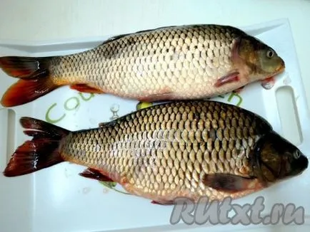 Főzni töltött ponty - recept fotókkal (szakács) Főzni töltött ponty - a recept egy fotó