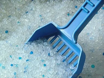 Hogyan hozzászoktatni a macskát, hogy a serpenyőben siker receptje